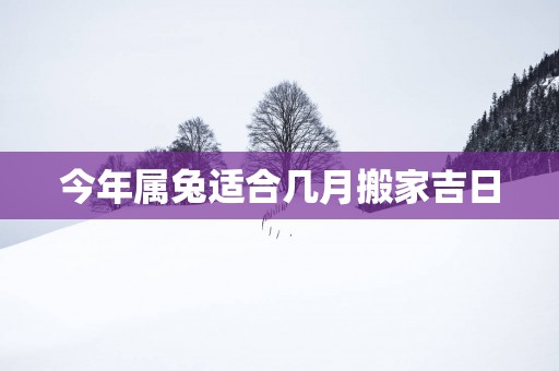 今年属兔适合几月搬家吉日