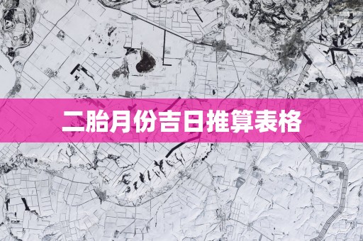 二胎月份吉日推算表格