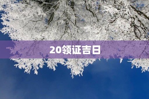 20领证吉日