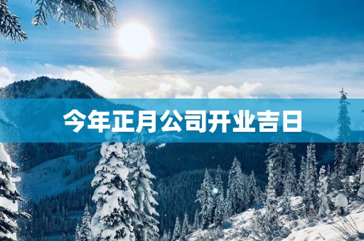 今年正月公司开业吉日