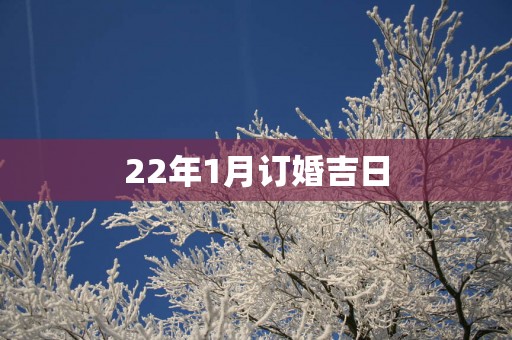 22年1月订婚吉日