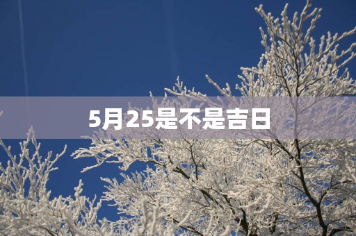5月25是不是吉日