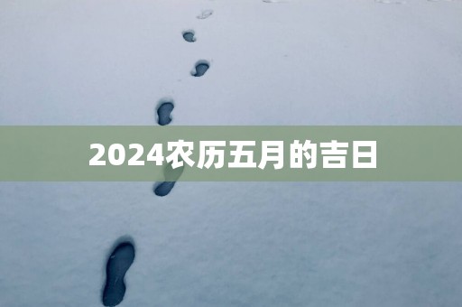 2025农历五月的吉日