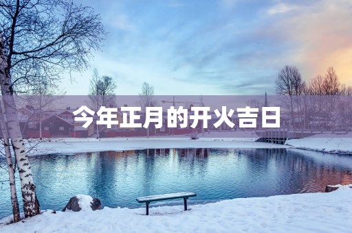 今年正月的开火吉日