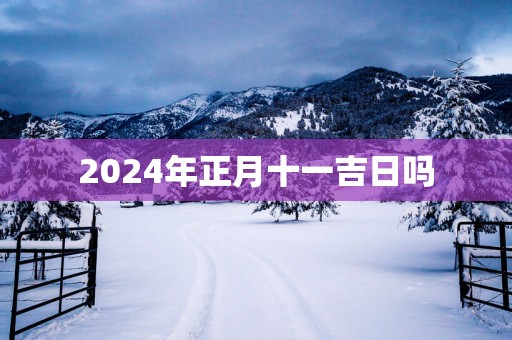 2025年正月十一吉日吗