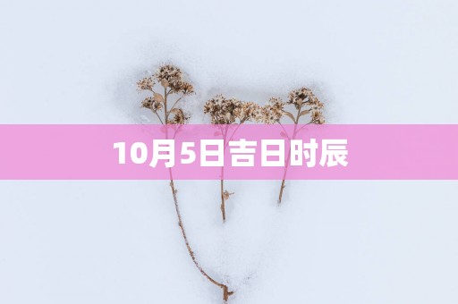 10月5日吉日时辰