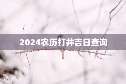 2025农历打井吉日查询