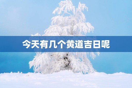 今天有几个黄道吉日呢