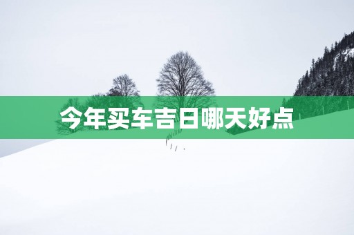 今年买车吉日哪天好点