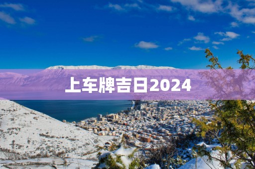 上车牌吉日2025