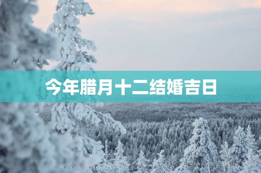 今年腊月十二结婚吉日