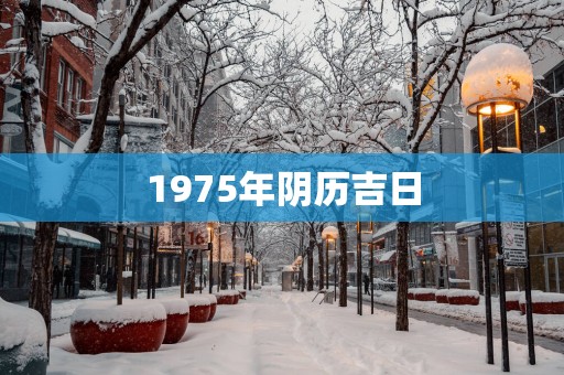 1975年阴历吉日