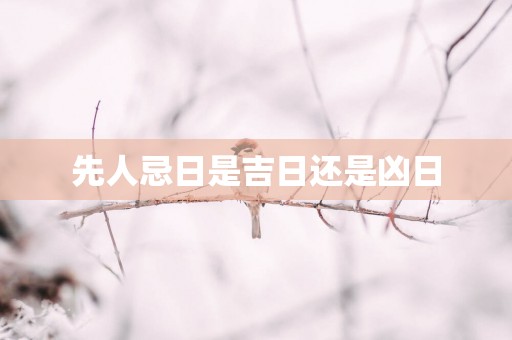 先人忌日是吉日还是凶日