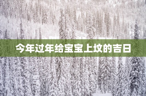 今年过年给宝宝上坟的吉日