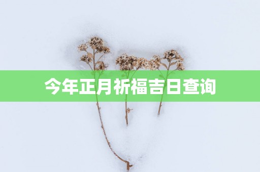 今年正月祈福吉日查询