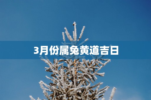 3月份属兔黄道吉日
