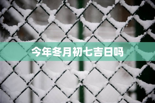 今年冬月初七吉日吗