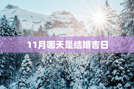11月哪天是结婚吉日