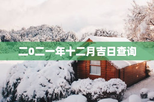 二0二一年十二月吉日查询