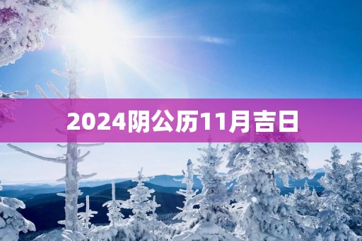 2025阴公历11月吉日