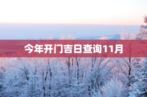 今年开门吉日查询11月