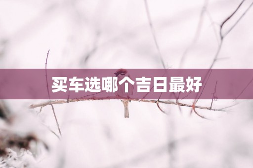 买车选哪个吉日最好