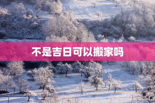 不是吉日可以搬家吗