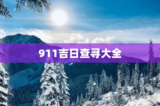 911吉日查寻大全