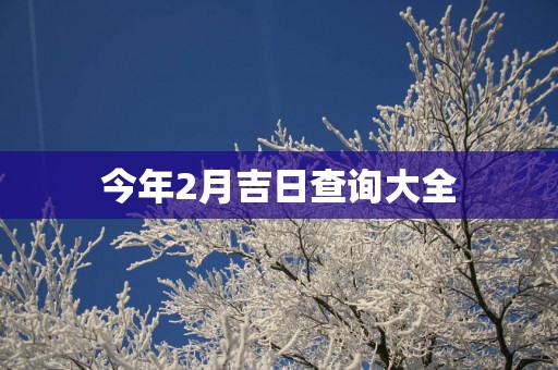 今年2月吉日查询大全