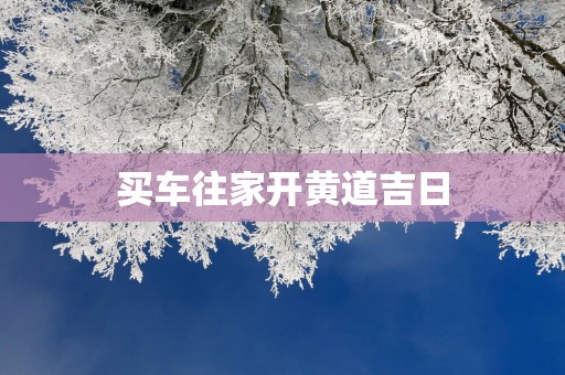 买车往家开黄道吉日