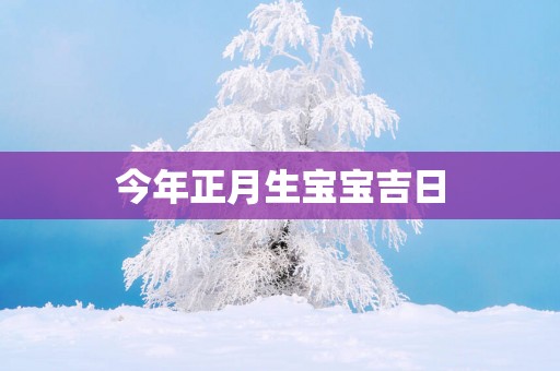 今年正月生宝宝吉日