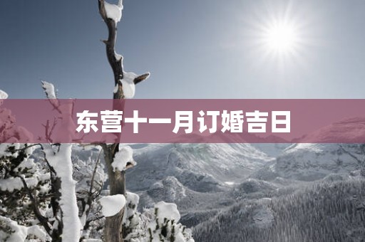 东营十一月订婚吉日