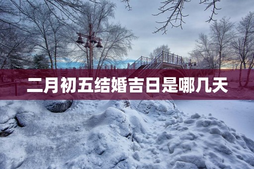 二月初五结婚吉日是哪几天