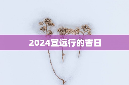 2025宜远行的吉日