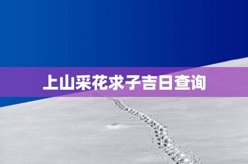 上山采花求子吉日查询