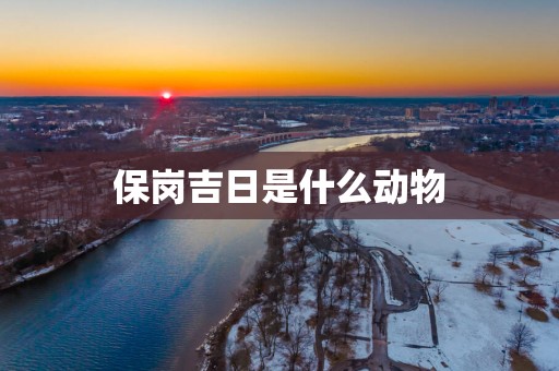 保岗吉日是什么动物