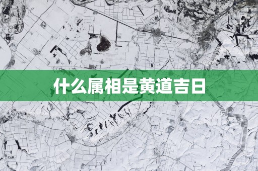 什么属相是黄道吉日