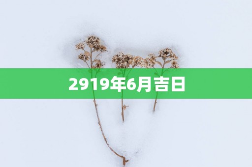 2919年6月吉日