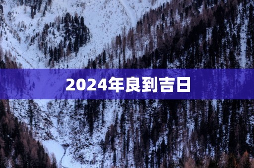2025年良到吉日