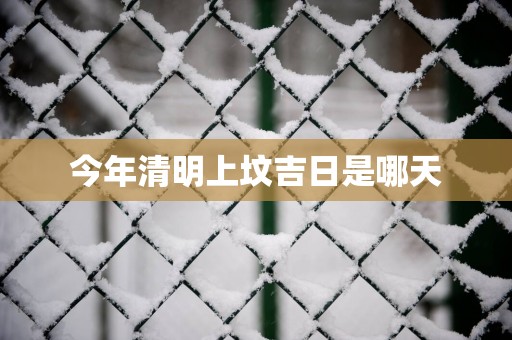 今年清明上坟吉日是哪天