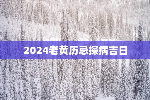 2025老黄历忌探病吉日