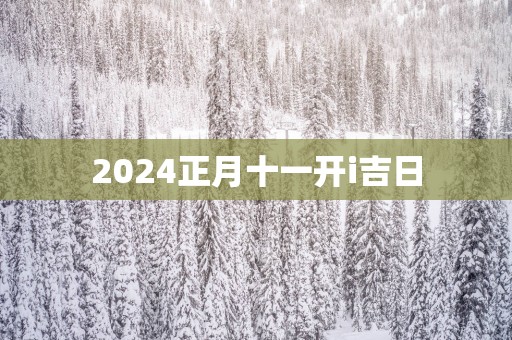 2025正月十一开i吉日
