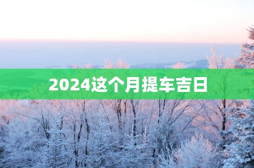 2025这个月提车吉日