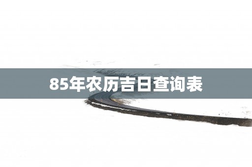 85年农历吉日查询表