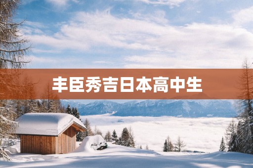 丰臣秀吉日本高中生