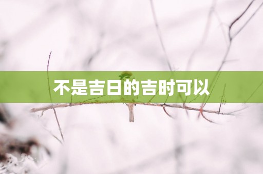 不是吉日的吉时可以