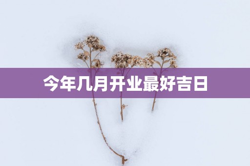 今年几月开业最好吉日