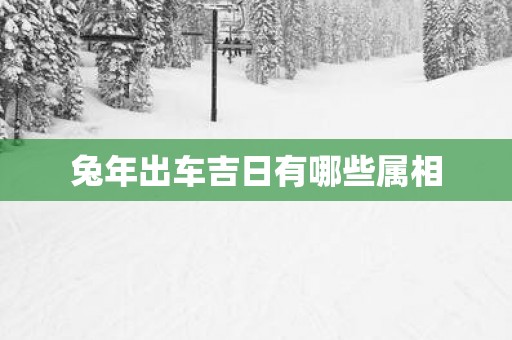 蛇年出车吉日有哪些属相