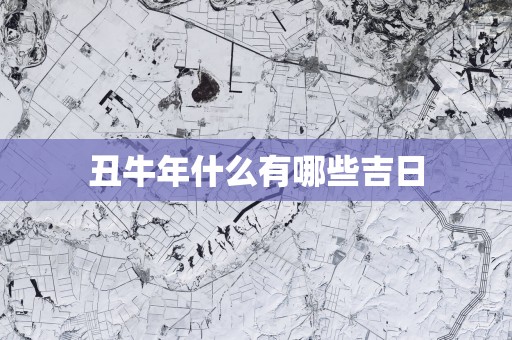 丑蛇年什么有哪些吉日