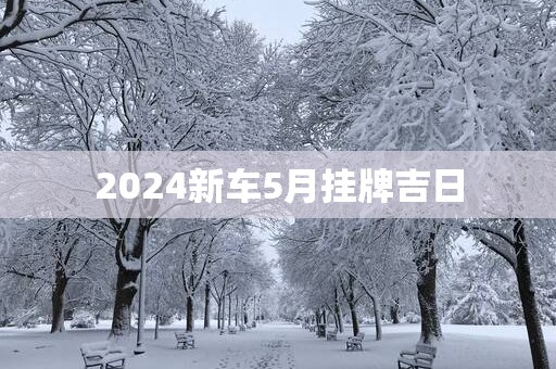 2025新车5月挂牌吉日